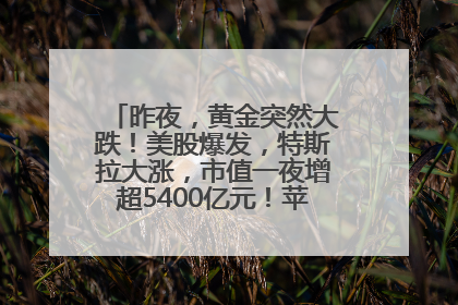 昨夜，黄金突然大跌！美股爆发，特斯拉大涨，市值一夜增超5400亿元！苹果传来大消息