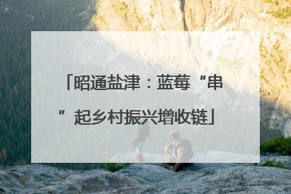 昭通盐津：蓝莓“串”起乡村振兴增收链