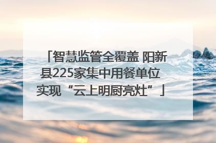 智慧监管全覆盖 阳新县225家集中用餐单位实现“云上明厨亮灶”