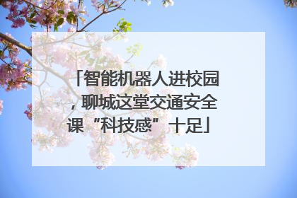 智能机器人进校园，聊城这堂交通安全课“科技感”十足