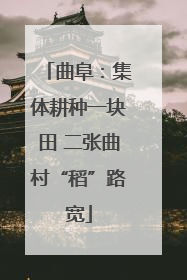 曲阜：集体耕种一块田 二张曲村“稻”路宽