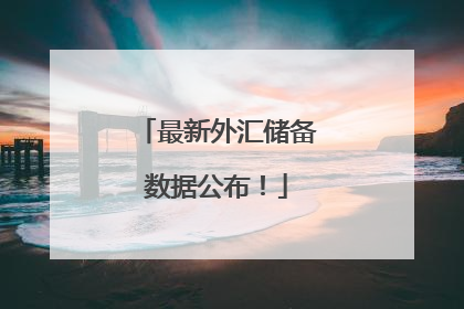 最新外汇储备数据公布！
