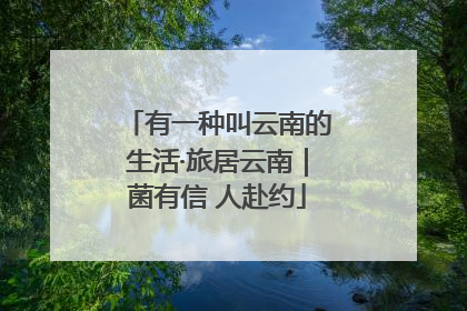 有一种叫云南的生活·旅居云南｜菌有信 人赴约