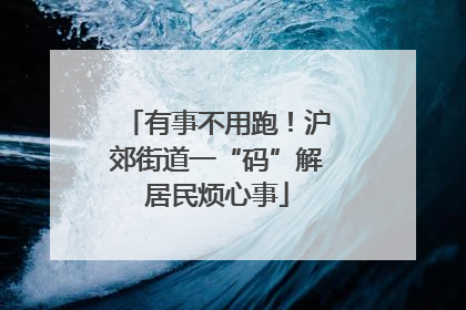 有事不用跑！沪郊街道一“码”解居民烦心事