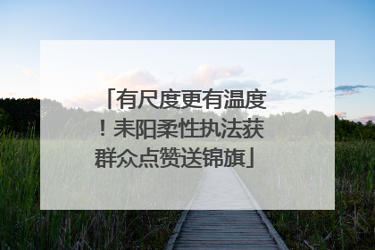 有尺度更有温度！耒阳柔性执法获群众点赞送锦旗