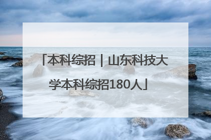 本科综招｜山东科技大学本科综招180人