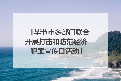 毕节市多部门联合开展打击和防范经济犯罪宣传日活动