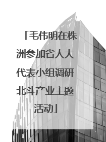 毛伟明在株洲参加省人大代表小组调研北斗产业主题活动