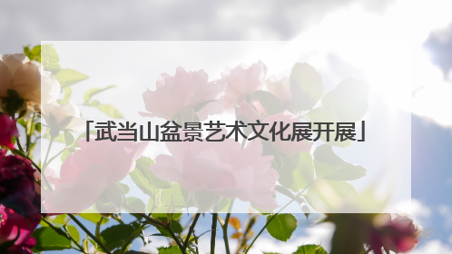 武当山盆景艺术文化展开展