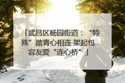 武昌区杨园街道：“特殊”踏青心相连 架起包容友爱“连心桥”