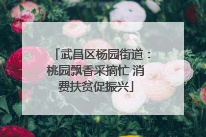 武昌区杨园街道：桃园飘香采摘忙 消费扶贫促振兴