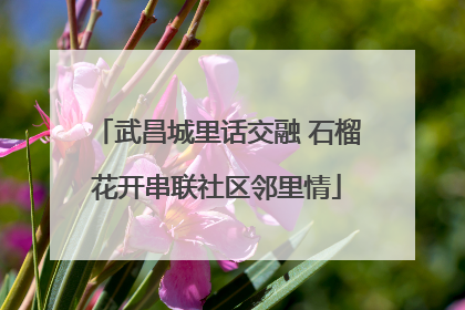 武昌城里话交融 石榴花开串联社区邻里情