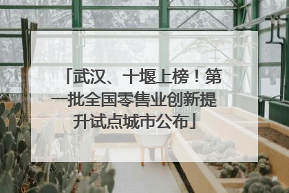 武汉、十堰上榜！第一批全国零售业创新提升试点城市公布
