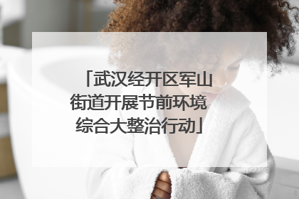 武汉经开区军山街道开展节前环境综合大整治行动