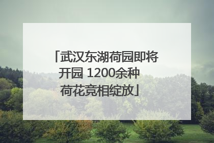 武汉东湖荷园即将开园 1200余种荷花竞相绽放