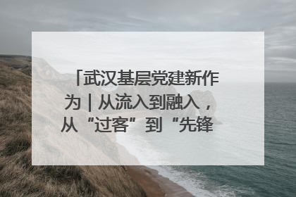 武汉基层党建新作为｜从流入到融入，从“过客”到“先锋” 武汉为流动党员筑起温暖之家