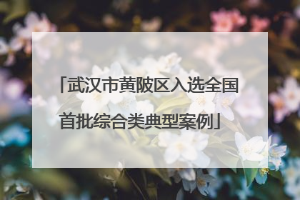 武汉市黄陂区入选全国首批综合类典型案例