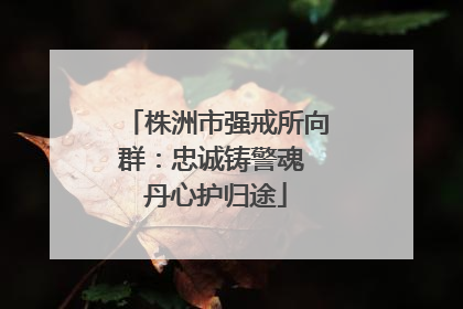 株洲市强戒所向群：忠诚铸警魂 丹心护归途