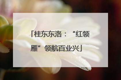 桂东东洛：“红领雁”领航百业兴