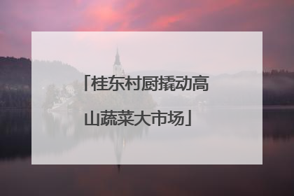 桂东村厨撬动高山蔬菜大市场