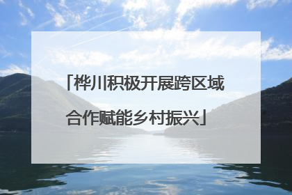 桦川积极开展跨区域合作赋能乡村振兴