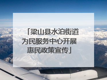 梁山县水泊街道为民服务中心开展惠民政策宣传
