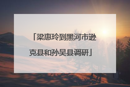 梁惠玲到黑河市逊克县和孙吴县调研