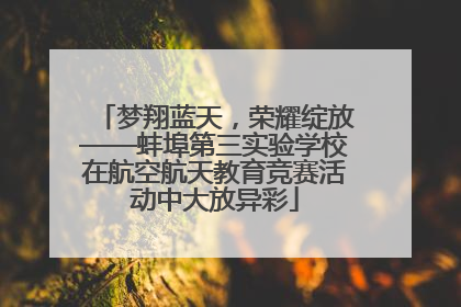 梦翔蓝天，荣耀绽放——蚌埠第三实验学校在航空航天教育竞赛活动中大放异彩