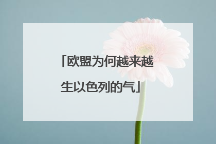 欧盟为何越来越生以色列的气