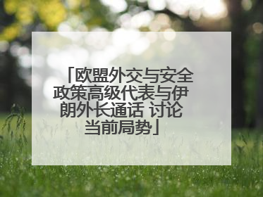 欧盟外交与安全政策高级代表与伊朗外长通话 讨论当前局势