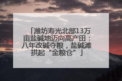 潍坊寿光北部13万亩盐碱地迈向高产田：八年改碱夺粮，盐碱滩拱起“金粮仓”