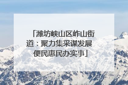 潍坊峡山区岞山街道：聚力集采谋发展 便民惠民办实事