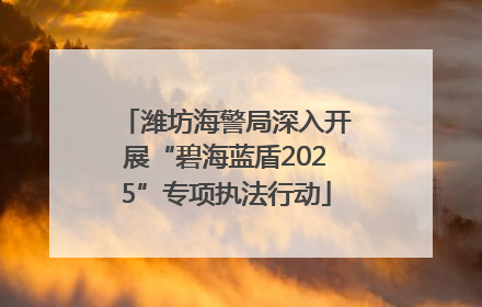 潍坊海警局深入开展“碧海蓝盾2025”专项执法行动