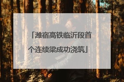 潍宿高铁临沂段首个连续梁成功浇筑