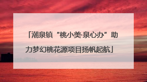 潮泉镇“桃小美·泉心办”助力梦幻桃花源项目扬帆起航