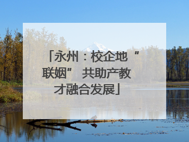 永州：校企地“联姻” 共助产教才融合发展