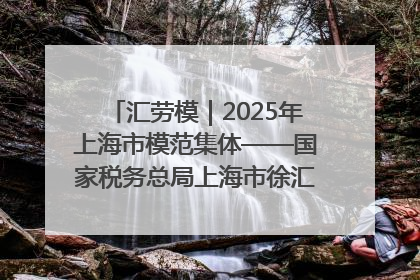 汇劳模｜2025年上海市模范集体——国家税务总局上海市徐汇区税务局第一税务所