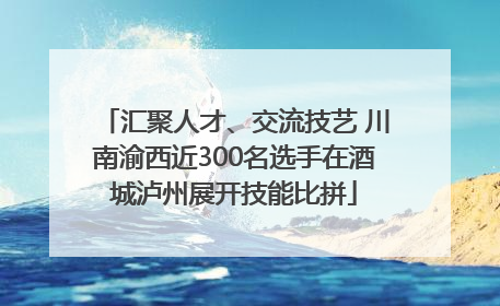 汇聚人才、交流技艺 川南渝西近300名选手在酒城泸州展开技能比拼