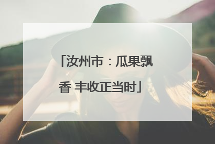 汝州市：瓜果飘香 丰收正当时