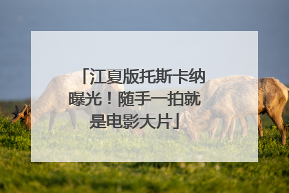 江夏版托斯卡纳曝光！随手一拍就是电影大片