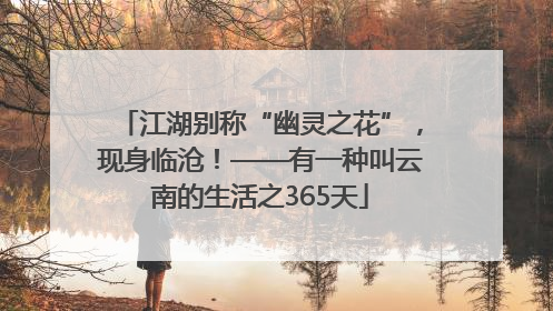 江湖别称“幽灵之花”，现身临沧！——有一种叫云南的生活之365天