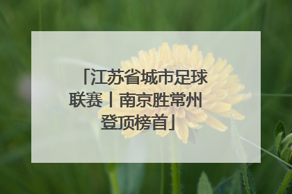 江苏省城市足球联赛丨南京胜常州 登顶榜首
