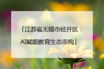 江苏省无锡市经开区：AI赋能教育生态重构