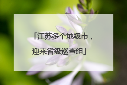 江苏多个地级市，迎来省级巡查组