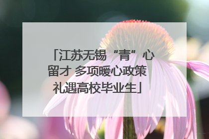 江苏无锡“青”心留才 多项暖心政策礼遇高校毕业生