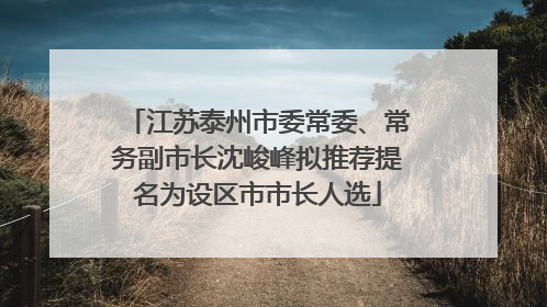 江苏泰州市委常委、常务副市长沈峻峰拟推荐提名为设区市市长人选