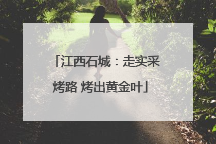 江西石城：走实采烤路 烤出黄金叶
