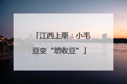 江西上栗：小毛豆变“增收豆”