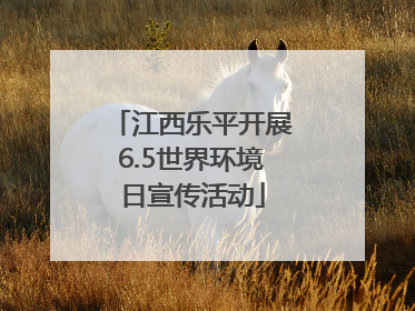 江西乐平开展6.5世界环境日宣传活动