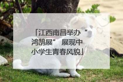 江西南昌举办“鸿鹄展” 展现中小学生青春风貌